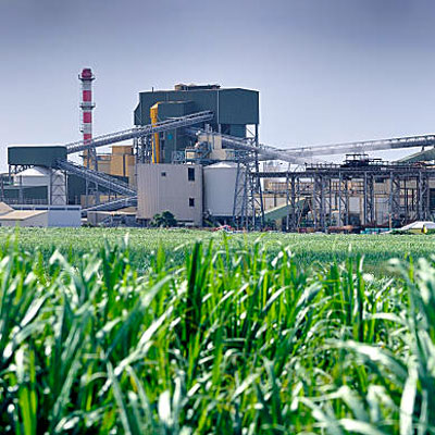 Sugar Industry