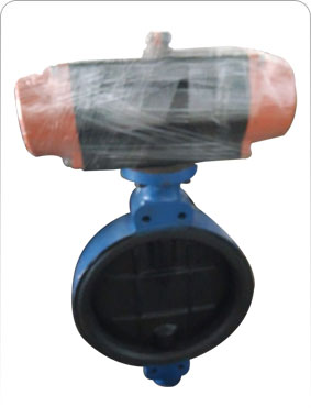Automated Globe Valve