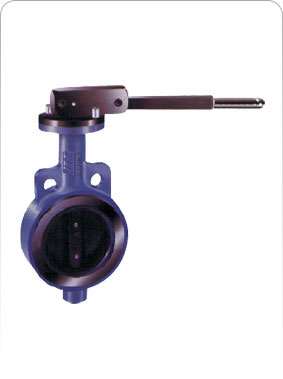 Butterfly Valve