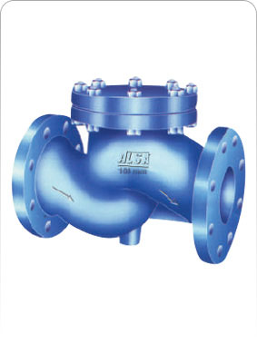 Lift Type Non Return Valve