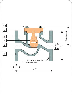 Lift Type Non Return Valve